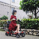 Simple to Fold Operate Mechanism 36 Holes Hassle-Free Travelling Golf Carts manufacturer