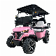  Golf Buggy 6 Seaters, Delivery to Your Home Detectly, 30-35 Days OEM Acceptale