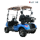  High Performance 2 Seats Forge G2 New Popularity Golf Cart Golf Buggy
