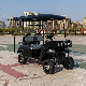 72V Lithium Battery Solar 6 Seaters off Road Electric Street Legal Golf Cart Buggy