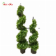  UV Protection Decorative Artificial Green Plant Wall Boxwood Hedge Spiral Plants
