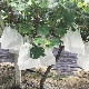 Protection Cover for Plants From Frost and Wind manufacturer