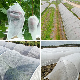 Plant Frost Protection Cover manufacturer