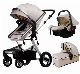Factory High Landscape Travel System Baby Stroller 3-in-1