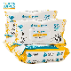  Biokleen OEM Manufacturer 100count 20X20cm Thick Plant Based Organic Dog Cat Paw Ear Eye Tooth Clean Grooming Wet Wipe for Pet