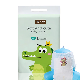  Delicate Frontal Indication Paper Pull up Baby Training Pant Diaper for Sale