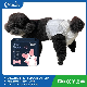  Casoft OEM Hot Sales Fast Delivery Pet Supplier Super Absorbent Disposable Pet Diaper Dog Training for Female Dog with SGS/ISO13485/ISO9001 Made in China