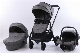  Multifunctional and Cart with High View Baby Stroller