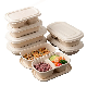  100% Compostable Disposable Bagasse Natural Take out Food Packaging Paper Containers Tableware
