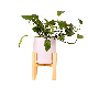  Eco-Friendly Plant Stand Desktop Bamboo Flower Pot Holder