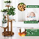  Tiered Stand Wood Plant Shelf Corner Display Rack Multi-Tier Planter Flower Stand