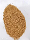 Bacillus Thuringiensis Var. Israelensis 68038-71-1