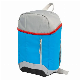 Promotional Insulation Bag Cooler Backpack with Custom Logo Printed