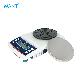  Wt-CF 0.01g Electronic Weighing Scale
