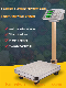 100kg Electronic Balance 60kg Digital Price Computing Scale Platform Balance