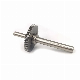  OEM Custom Metal Spur Gear and Gear Shaft