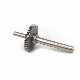 OEM Custom Metal Spur Gear and Gear Shaft