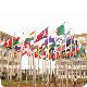  Whip Wind Resistant Tangle Flagpole Stainless Steel Outdoor Flag Pole