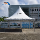  20X20FT Advertising Pagoda Marqueetent with Logo for Outdoor Events
