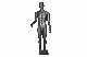  Fiberglass Standing Full Body Adjustable Mannequin for Sale