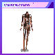  Luxury Headless Rose Gold Female Fiberglass Mannequin for Clothes Display