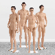  Clothes Display Shop Window Male Female Skin Color Full Body Skin Mannequin