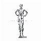 Head Display Wholesale Headless Female Woman Top Mannequins Factory