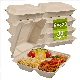  Compostable Eco-Friendly Paper Pulp Sugarcane Bagasse Food Container Biodegradable Takeaway Clamshell Envases Disposable Food Packaging with Lid