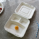  Biodegradable Compostable Disposable Sugarcane Food Container Bagasse Paper Food Packaging
