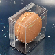  Small Custom Clear Plastic PET Food Packaging for Single  Cookies