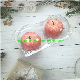  Plastic Food Fruit Packaging with Lid