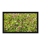  Wall Mount Metal Case Android OS WiFi LCD 32 Inch Advertising Display