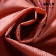  20d Super Waterproof Full Dull Coated Ultralight Nylon Taffeta Fabric for Garment