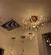  Fashionable Petal Design Sleek and Trendy Ceiling Light