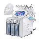  OEM Hot Sell Tiny Bubble H2O2 Aqua Peel Dermabrasion Hydro Facial Hydro Facial Machine