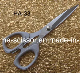 Beautiful Scissors (HE-33)