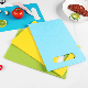  Food Grade Cutting Set Boards Raw Meat Pork Ribs Kitchen Cut Tools Cheese Plastic Thick Chopping Board