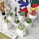 Multi 3D Modeling Painted Gypsum Concrete Flower Pots Silicone Molds