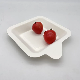  Top Factory Disposable Bagasse Tray Biodegradable Cake Tray