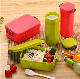  Leakproof Customized Plastic Wholesale School Lunch Box Kids with Water Bottle Set