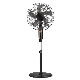 Four Speed Rotating Pedestal Adjustable Height Standing Fan with One Hour Timer manufacturer