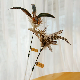  Extended Version Original Ecological Feather Cat Teaser Stick with Bells