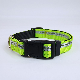  Reflective Safe Pet Collar Solid Nylon, Mixed Colors, Free Replacement