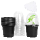 Clear Plant Nursery Pots Transparent Plastic Gardening Planting Containers Cups Planter manufacturer