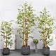 Simulation Bamboo Trees Large Green Plant Simulation Potted Tropical Plants manufacturer