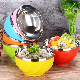  New Design Color Print Set Stainless Steel Salad Mixing Bowl