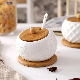  Seasoning Condiment Porcelain Ceramic Container Set Spice Jars