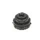  Bulkhead Fitting NPT Threaded Pipe Fitting