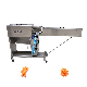  Vegetable Peeling Machine Carrot Peeler Equipment for Food Processing machine