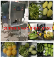  Shanghai Factory Automatic PLC Peeling Machine Peeler for Fruit and Vegetable